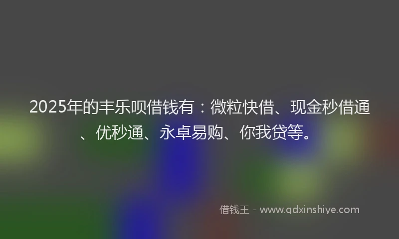 2025年的丰乐呗借钱有：微粒快借、现金秒借通、优秒通、永卓易购、你我贷等。