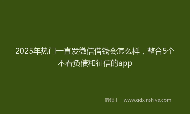 2025年热门一直发微信借钱会怎么样，整合5个不看负债和征信的app
