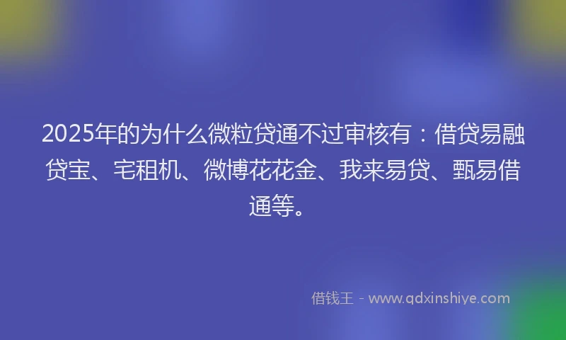 2025年的为什么微粒贷通不过审核有：借贷易融贷宝、宅租机、微博花花金、我来易贷、甄易借通等。