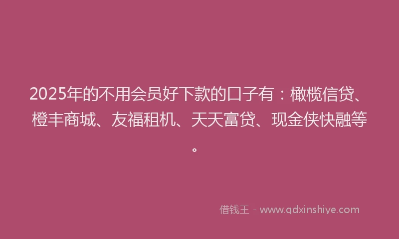 2025年的不用会员好下款的口子有：橄榄信贷、橙丰商城、友福租机、天天富贷、现金侠快融等。
