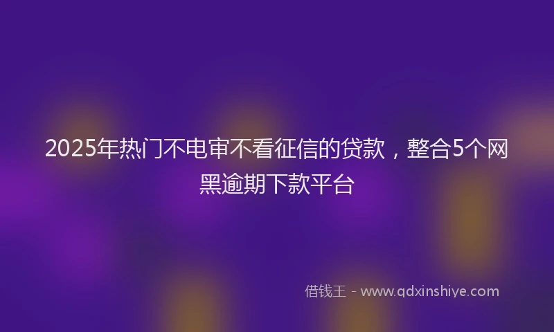 2025年热门不电审不看征信的贷款，整合5个网黑逾期下款平台