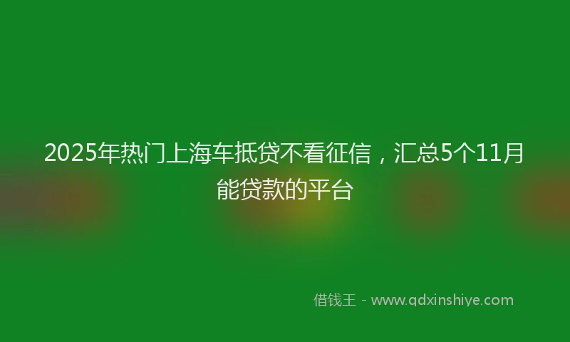 2025年热门上海车抵贷不看征信，汇总5个11月能贷款的平台