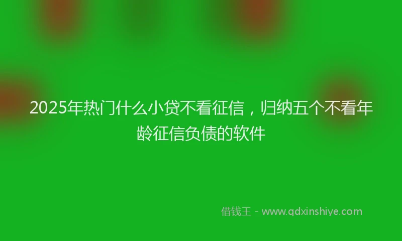 2025年热门什么小贷不看征信，归纳五个不看年龄征信负债的软件
