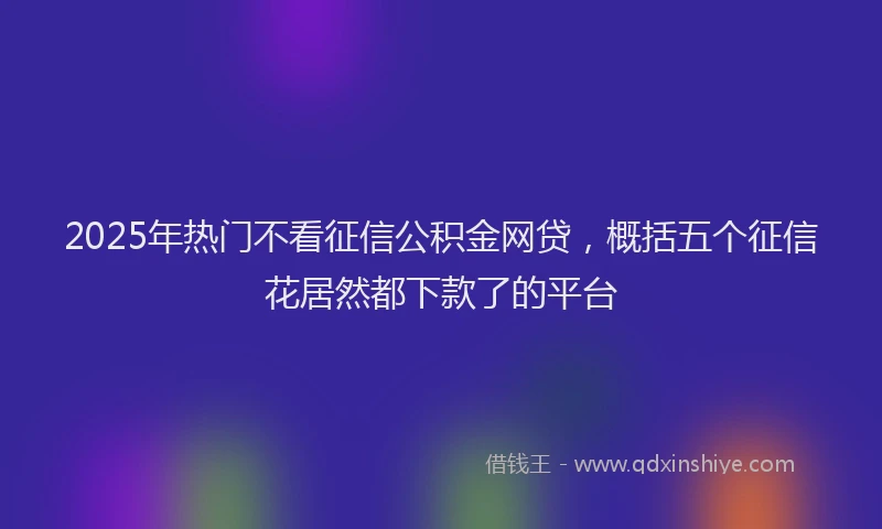 2025年热门不看征信公积金网贷，概括五个征信花居然都下款了的平台