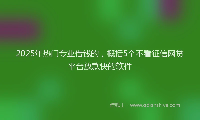 2025年热门专业借钱的，概括5个不看征信网贷平台放款快的软件