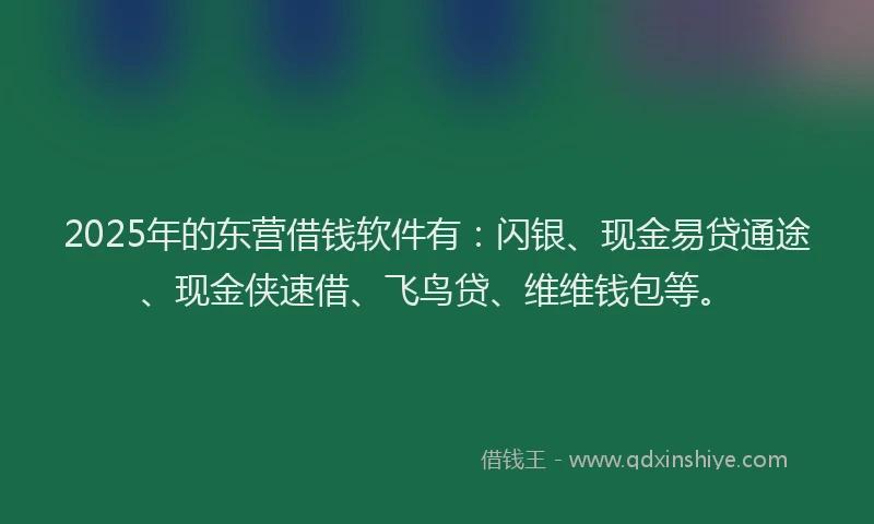 2025年的东营借钱软件有：闪银、现金易贷通途、现金侠速借、飞鸟贷、维维钱包等。