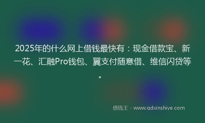 2025年的什么网上借钱最快有：现金借款宝、新一花、汇融Pro钱包、翼支付随意借、维信闪贷等。