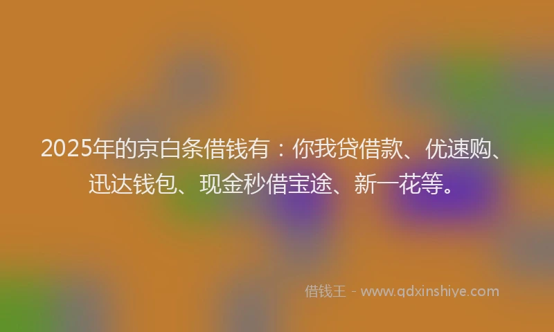 2025年的京白条借钱有：你我贷借款、优速购、迅达钱包、现金秒借宝途、新一花等。