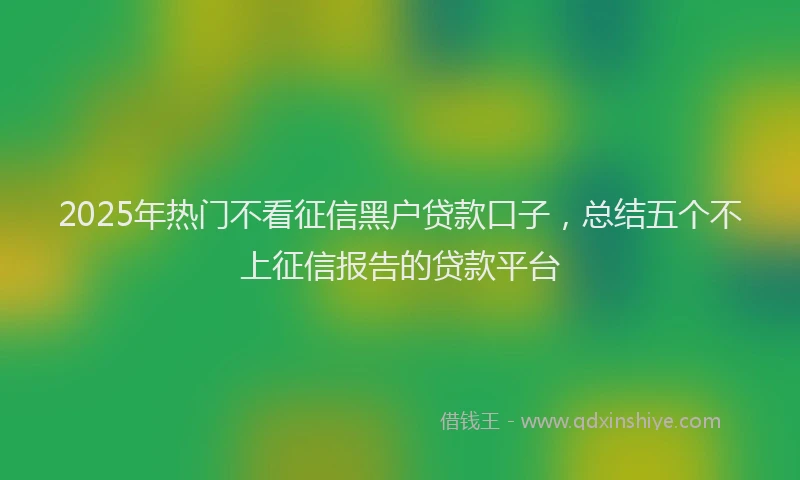 2025年热门不看征信黑户贷款口子，总结五个不上征信报告的贷款平台