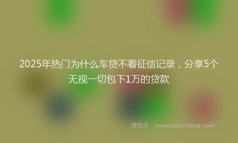 2025年热门为什么车贷不看征信记录，分享5个无视一切包下1万的贷款
