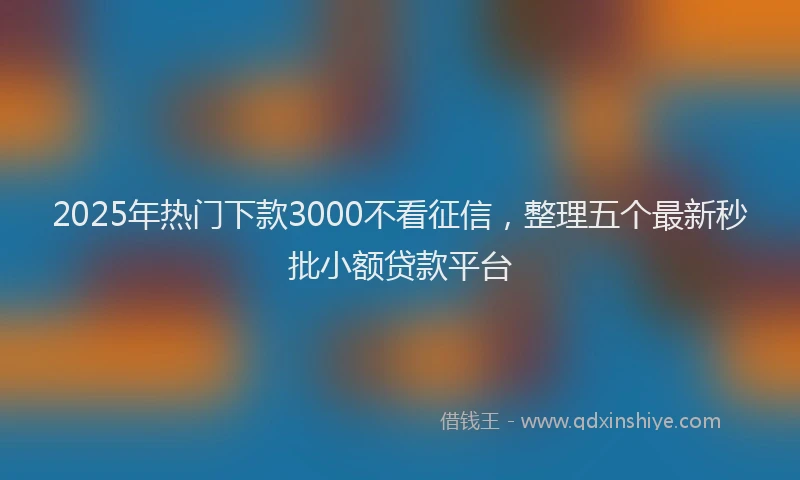 2025年热门下款3000不看征信，整理五个最新秒批小额贷款平台