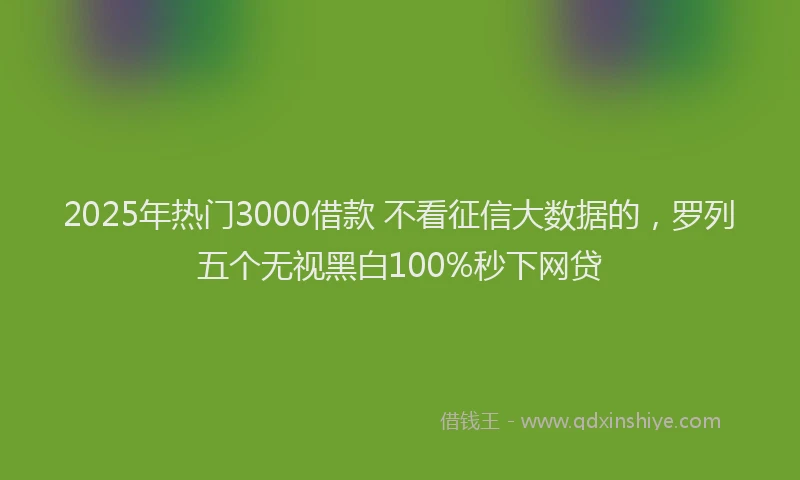2025年热门3000借款 不看征信大数据的，罗列五个无视黑白100%秒下网贷