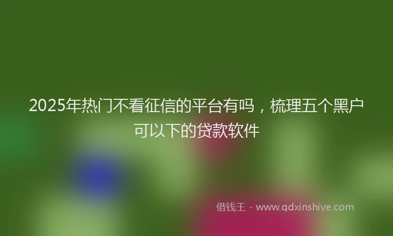 2025年热门不看征信的平台有吗，梳理五个黑户可以下的贷款软件