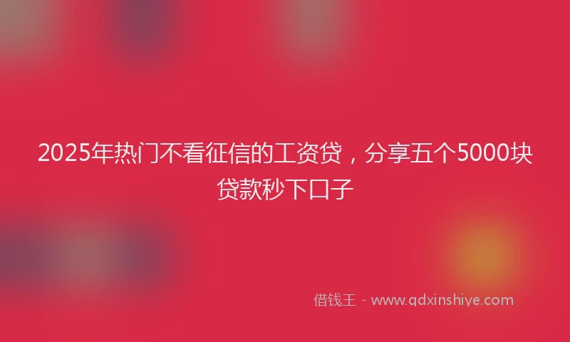 2025年热门不看征信的工资贷，分享五个5000块贷款秒下口子