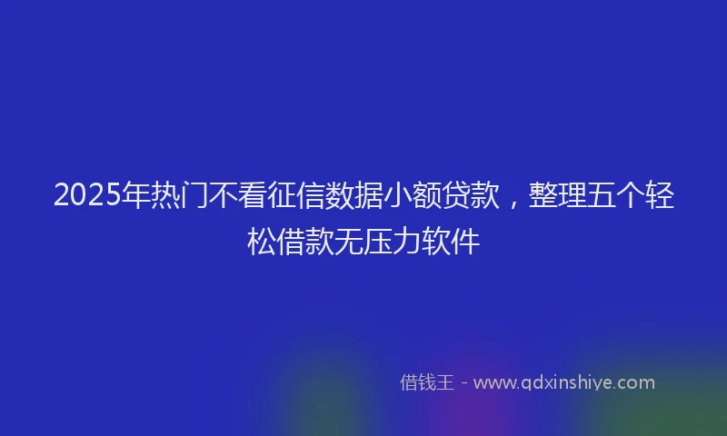 2025年热门不看征信数据小额贷款，整理五个轻松借款无压力软件