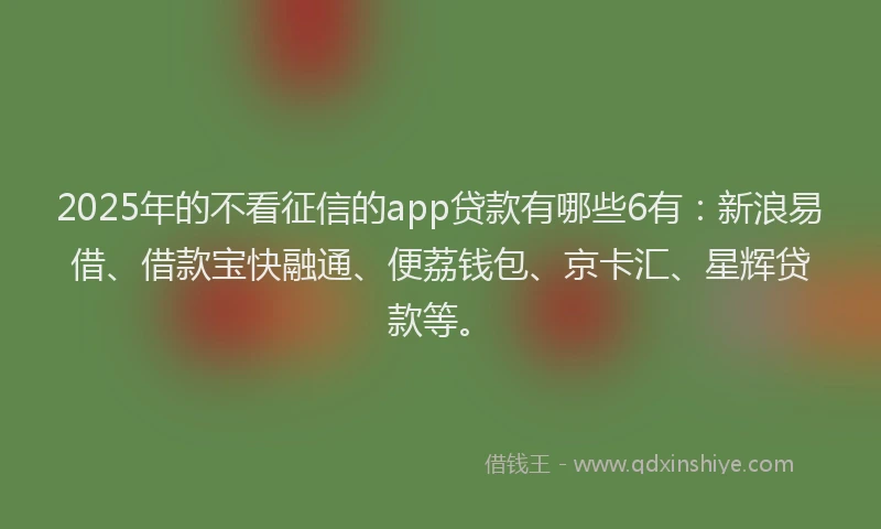 2025年的不看征信的app贷款有哪些6有：新浪易借、借款宝快融通、便荔钱包、京卡汇、星辉贷款等。