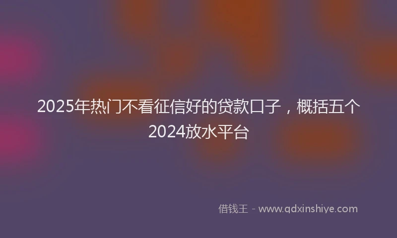 2025年热门不看征信好的贷款口子，概括五个2024放水平台