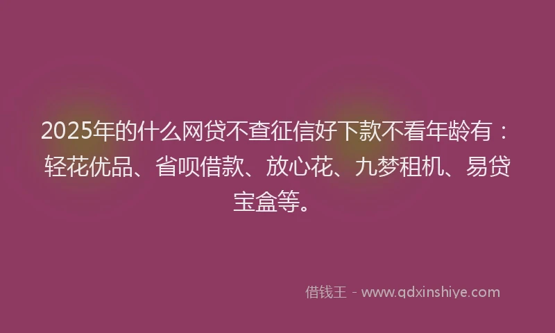 2025年的什么网贷不查征信好下款不看年龄有：轻花优品、省呗借款、放心花、九梦租机、易贷宝盒等。