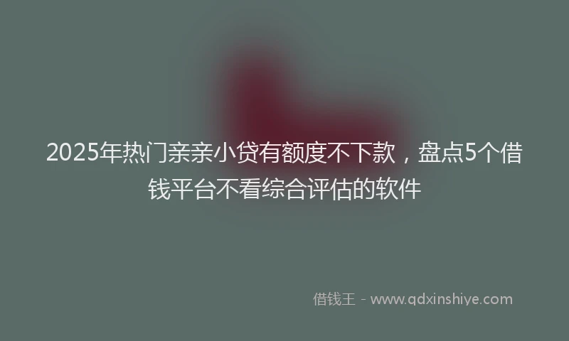 2025年热门亲亲小贷有额度不下款，盘点5个借钱平台不看综合评估的软件