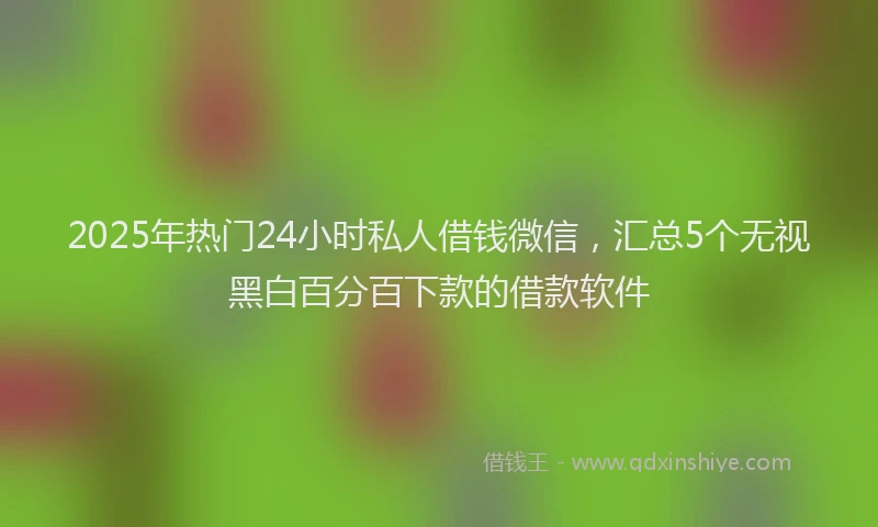 2025年热门24小时私人借钱微信，汇总5个无视黑白百分百下款的借款软件