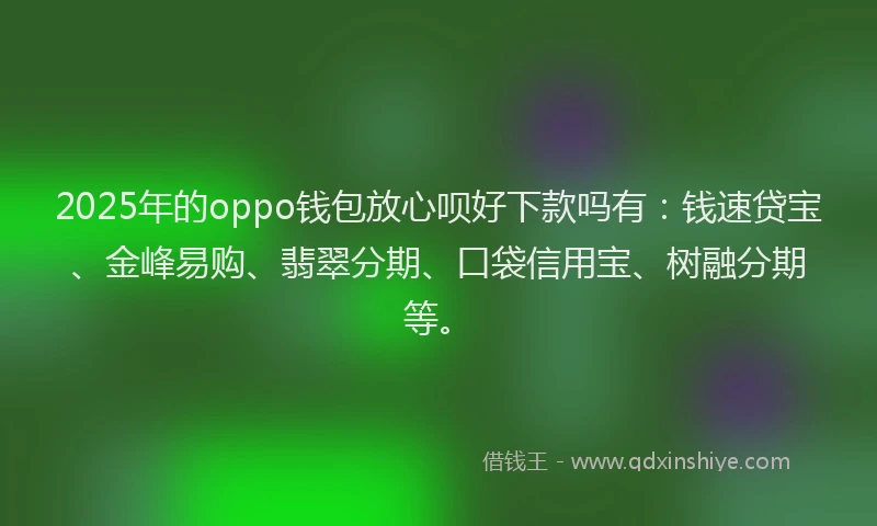 2025年的oppo钱包放心呗好下款吗有：钱速贷宝、金峰易购、翡翠分期、口袋信用宝、树融分期等。