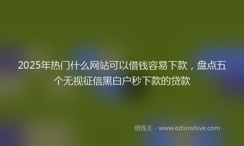 2025年热门什么网站可以借钱容易下款，盘点五个无视征信黑白户秒下款的贷款