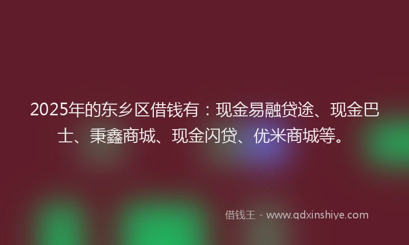 2025年的东乡区借钱有：现金易融贷途、现金巴士、秉鑫商城、现金闪贷、优米商城等。