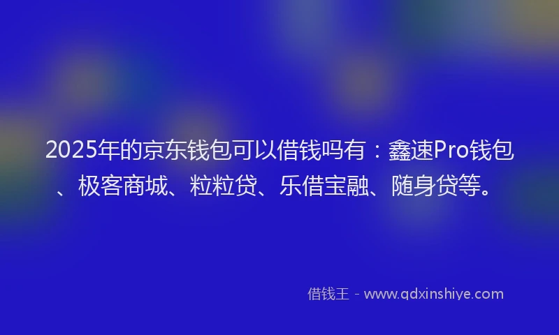 2025年的京东钱包可以借钱吗有：鑫速Pro钱包、极客商城、粒粒贷、乐借宝融、随身贷等。