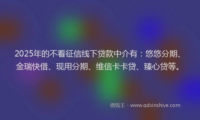 2025年的不看征信线下贷款中介有：悠悠分期、金瑞快借、现用分期、维信卡卡贷、臻心贷等。