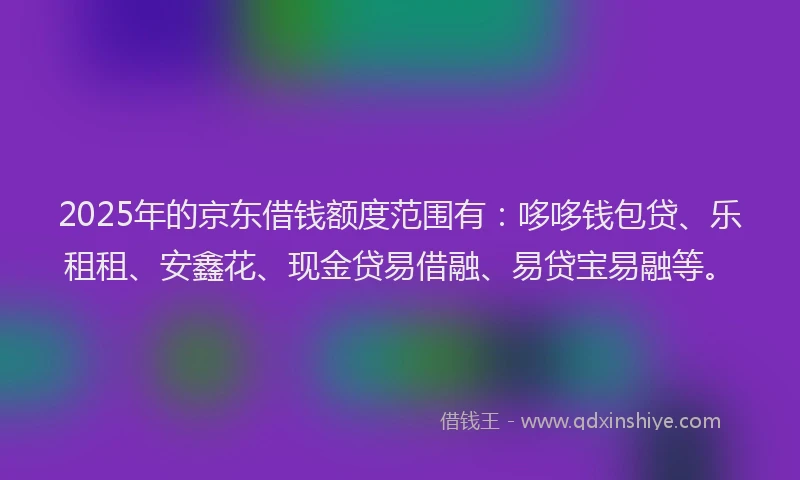 2025年的京东借钱额度范围有：哆哆钱包贷、乐租租、安鑫花、现金贷易借融、易贷宝易融等。