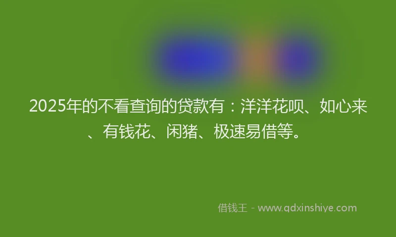 2025年的不看查询的贷款有：洋洋花呗、如心来、有钱花、闲猪、极速易借等。