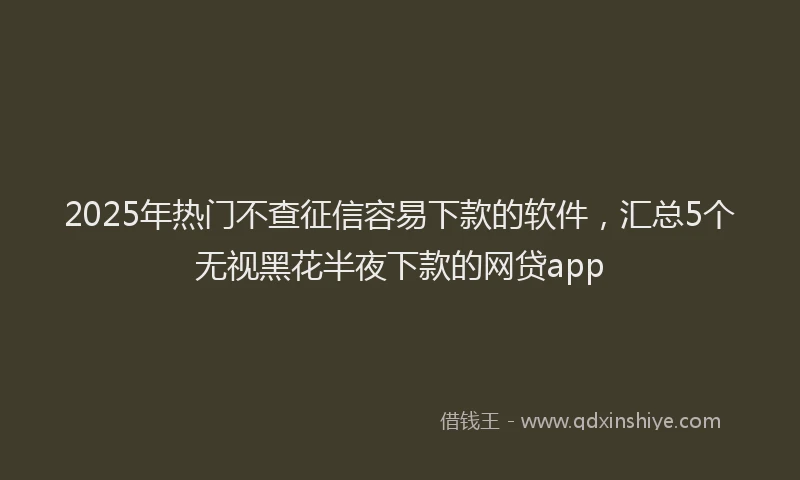 2025年热门不查征信容易下款的软件，汇总5个无视黑花半夜下款的网贷app