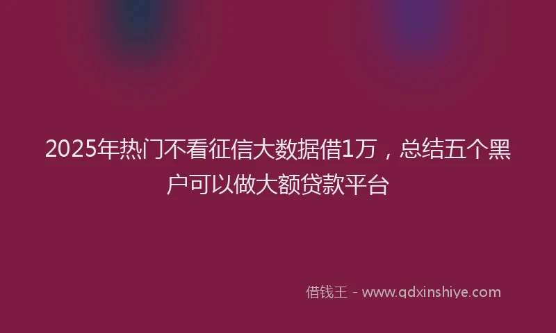 2025年热门不看征信大数据借1万，总结五个黑户可以做大额贷款平台