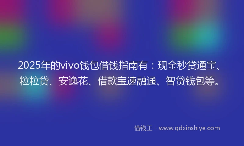 2025年的vivo钱包借钱指南有：现金秒贷通宝、粒粒贷、安逸花、借款宝速融通、智贷钱包等。