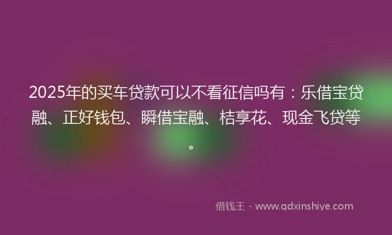 2025年的买车贷款可以不看征信吗有：乐借宝贷融、正好钱包、瞬借宝融、桔享花、现金飞贷等。