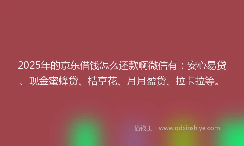 2025年的京东借钱怎么还款啊微信有：安心易贷、现金蜜蜂贷、桔享花、月月盈贷、拉卡拉等。