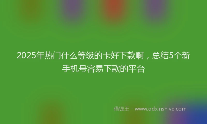 2025年热门什么等级的卡好下款啊，总结5个新手机号容易下款的平台