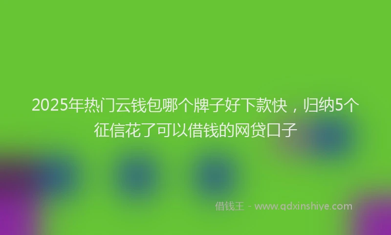 2025年热门云钱包哪个牌子好下款快，归纳5个征信花了可以借钱的网贷口子