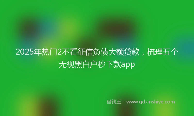 2025年热门2不看征信负债大额贷款，梳理五个无视黑白户秒下款app