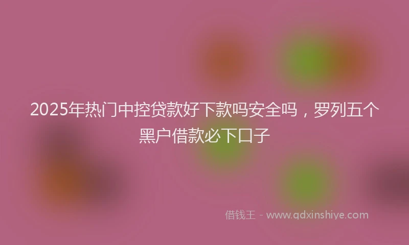 2025年热门中控贷款好下款吗安全吗，罗列五个黑户借款必下口子