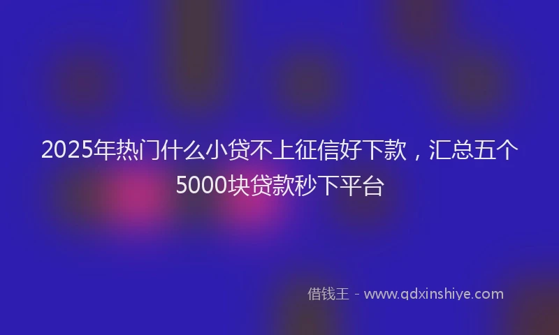 2025年热门什么小贷不上征信好下款，汇总五个5000块贷款秒下平台