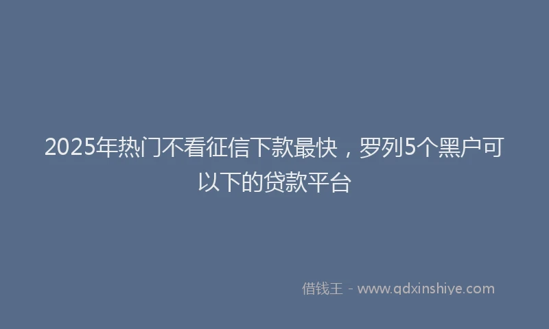 2025年热门不看征信下款最快，罗列5个黑户可以下的贷款平台