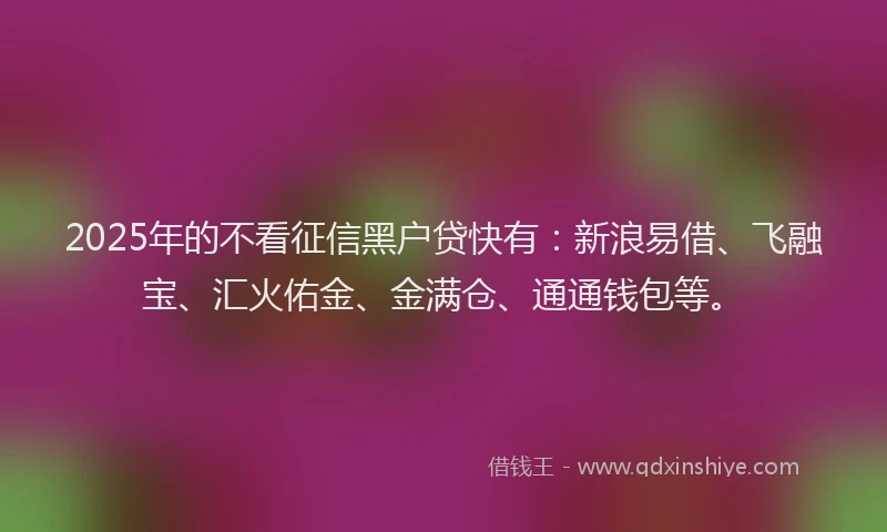 2025年的不看征信黑户贷快有：新浪易借、飞融宝、汇火佑金、金满仓、通通钱包等。