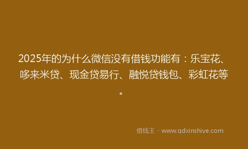 2025年的为什么微信没有借钱功能有：乐宝花、哆来米贷、现金贷易行、融悦贷钱包、彩虹花等。