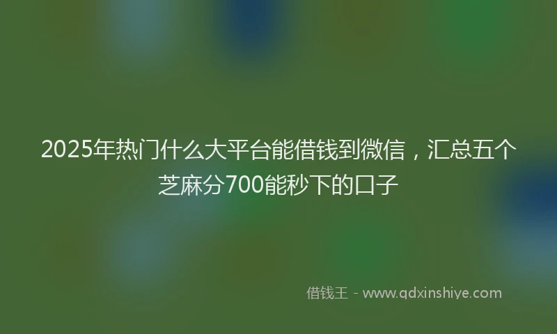2025年热门什么大平台能借钱到微信，汇总五个芝麻分700能秒下的口子