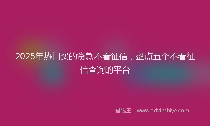 2025年热门买的贷款不看征信，盘点五个不看征信查询的平台