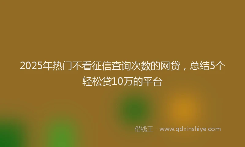 2025年热门不看征信查询次数的网贷，总结5个轻松贷10万的平台