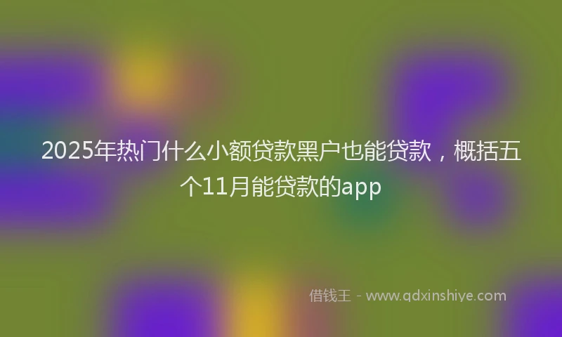 2025年热门什么小额贷款黑户也能贷款，概括五个11月能贷款的app