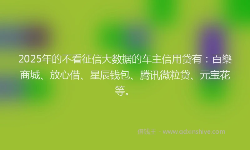 2025年的不看征信大数据的车主信用贷有：百樂商城、放心借、星辰钱包、腾讯微粒贷、元宝花等。