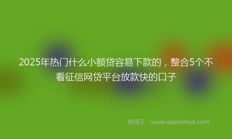 2025年热门什么小额贷容易下款的，整合5个不看征信网贷平台放款快的口子